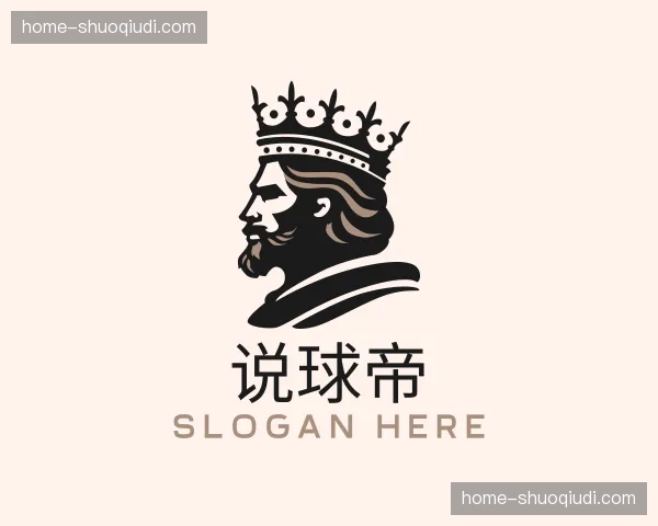 关于说球帝官网